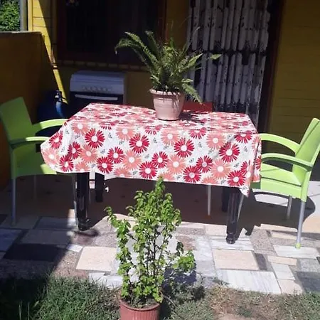 Homestay Kolonia E Artistave