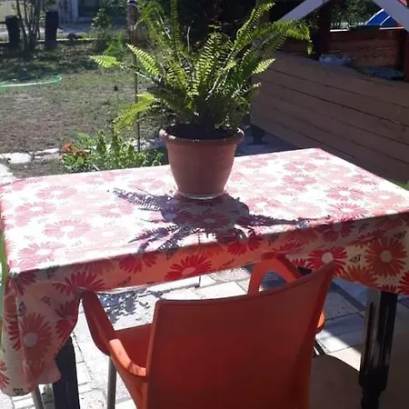 Homestay Kolonia E Artistave