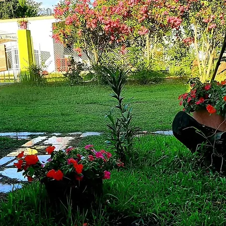 Kolonia E Artistave Homestay