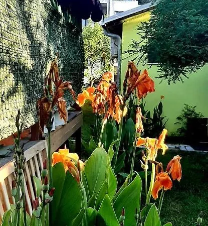 Kolonia E Artistave Séjour chez l'habitant Velipojë