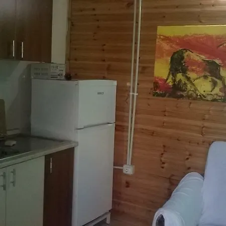 Kolonia E Artistave Velipojë