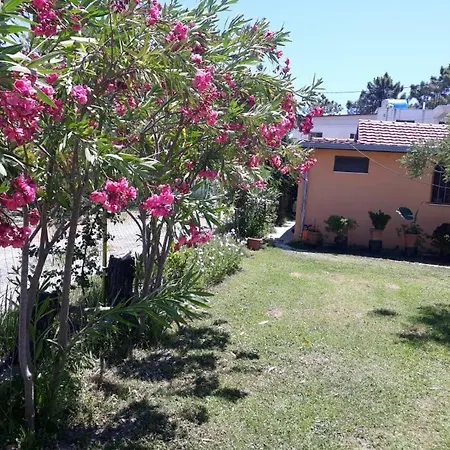 Kolonia E Artistave Séjour chez l'habitant Velipojë