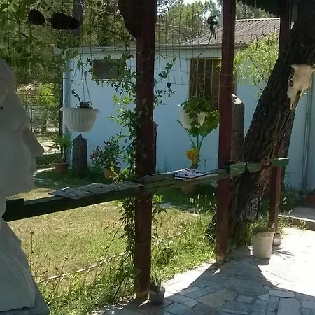 Kolonia E Artistave
