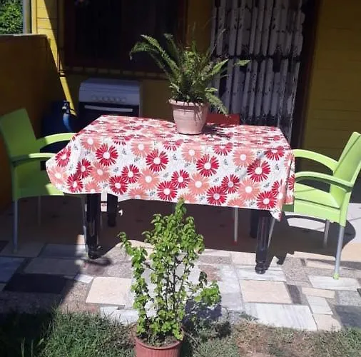 民宿 Kolonia E Artistave