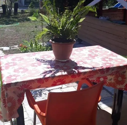 民宿 Kolonia E Artistave