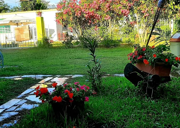 Kolonia E Artistave 民宿