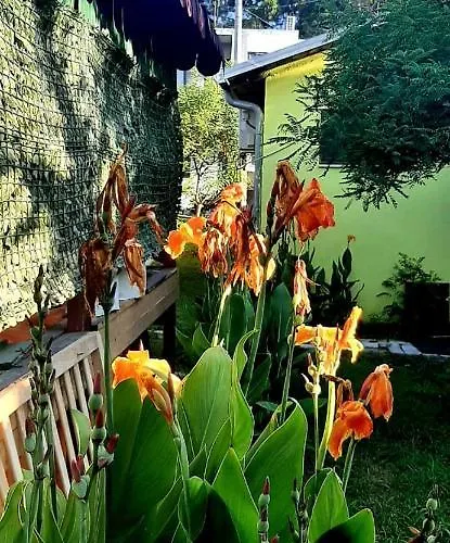 Kolonia E Artistave 民宿 Velipojë