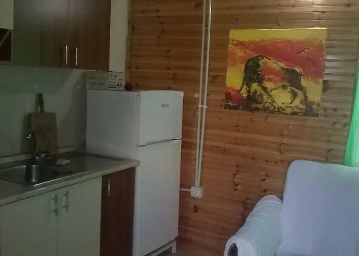 Kolonia E Artistave Velipojë