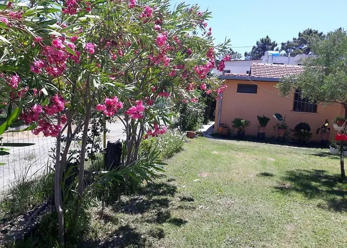 Kolonia E Artistave 民宿 Velipojë