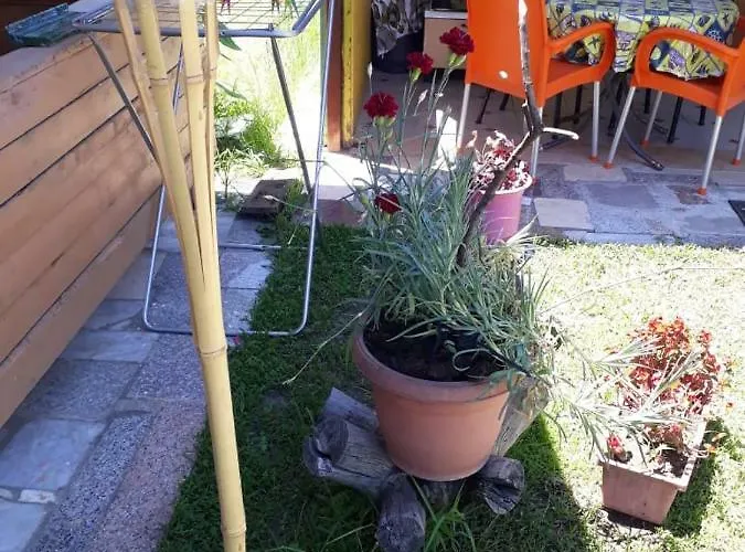 民宿 Kolonia E Artistave